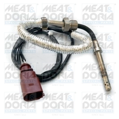 Sensor, exhaust gas temperature